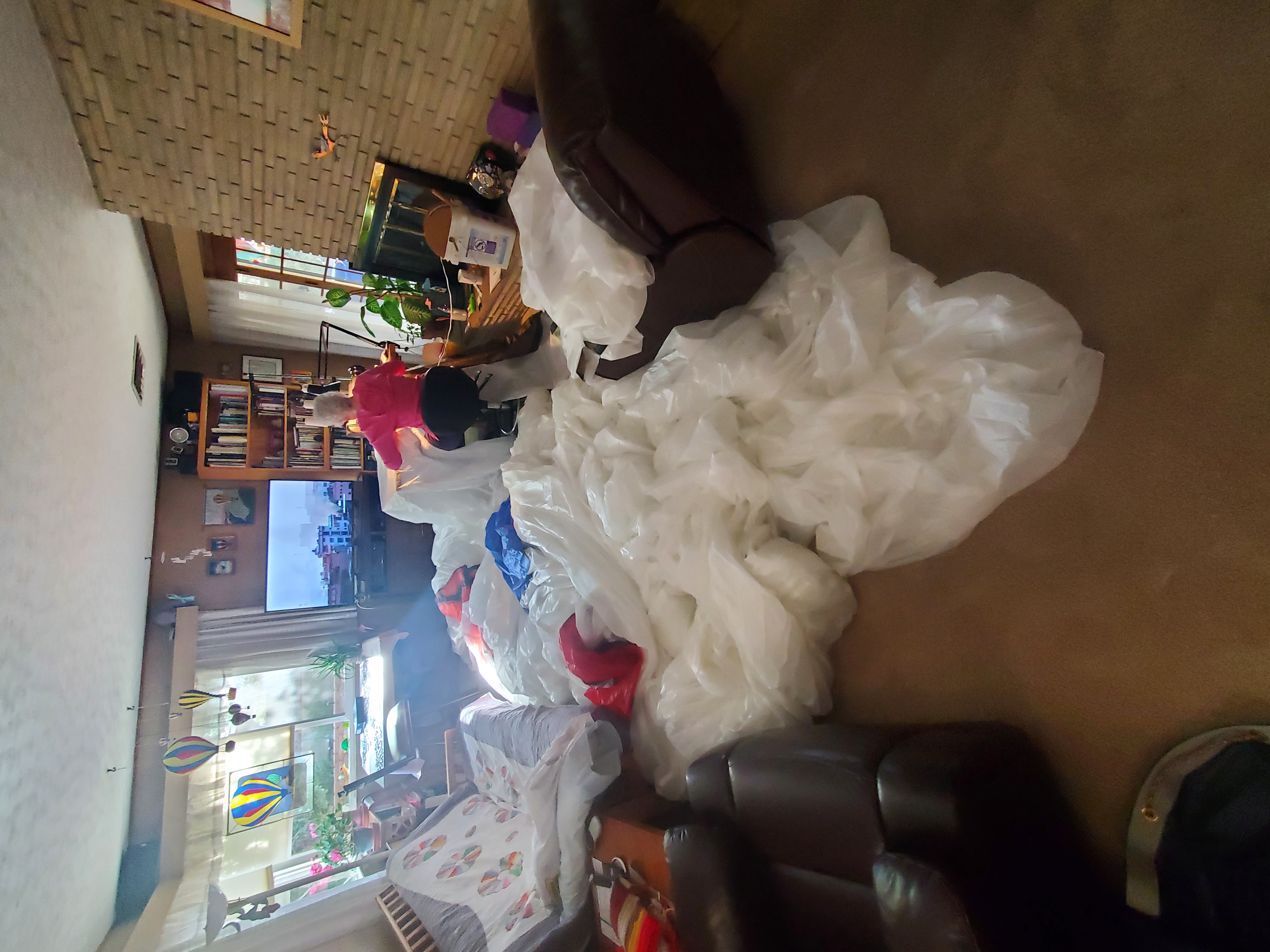 roadrunner<em>balloon</em>site