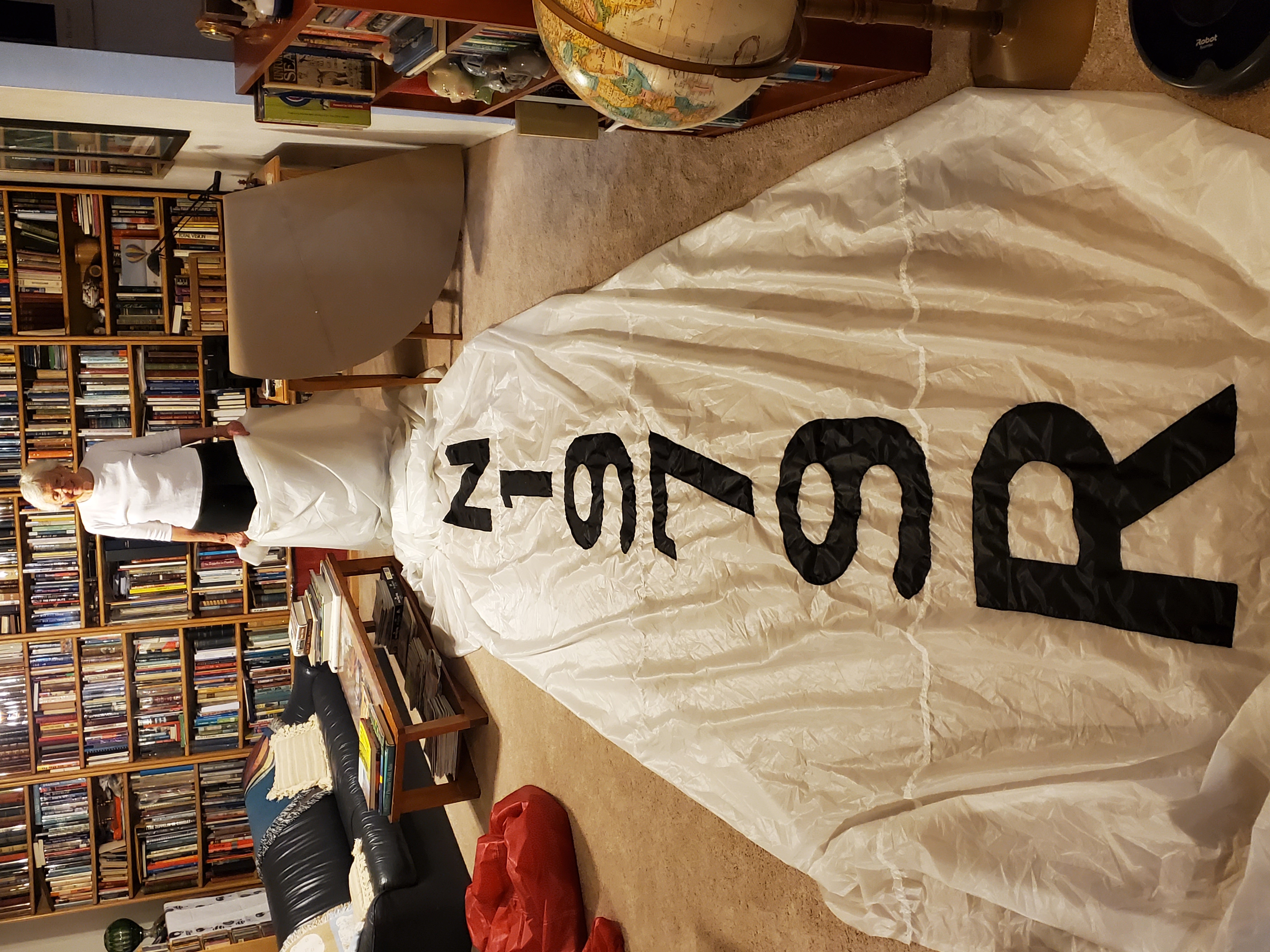 roadrunner<em>balloon</em>site